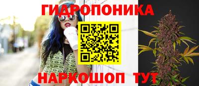 хмурый Жуковский