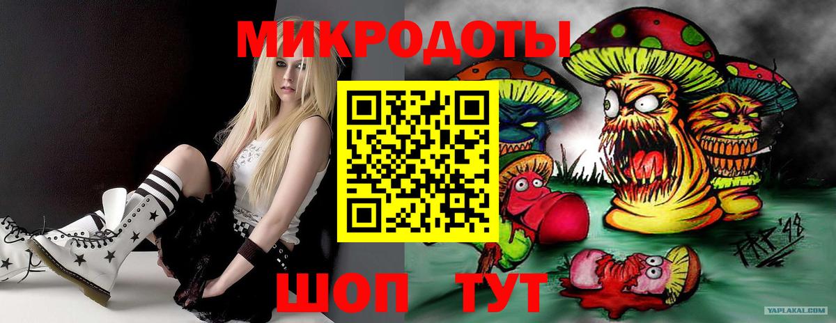 Галлюциногенные грибы Psilocybe Ликино-Дулёво