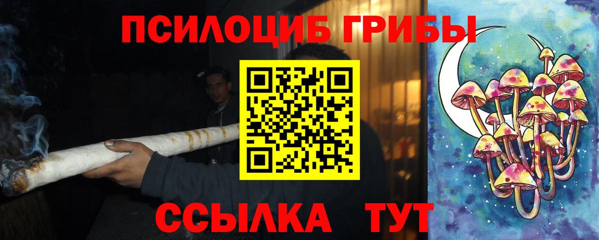 Ликино-Дулёво  Галлюциногенные грибы MAGIC MUSHROOMS  Вход с VPN 